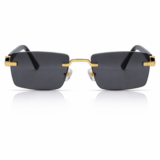 [2026-03-20-96.png] Men’s Sunglass