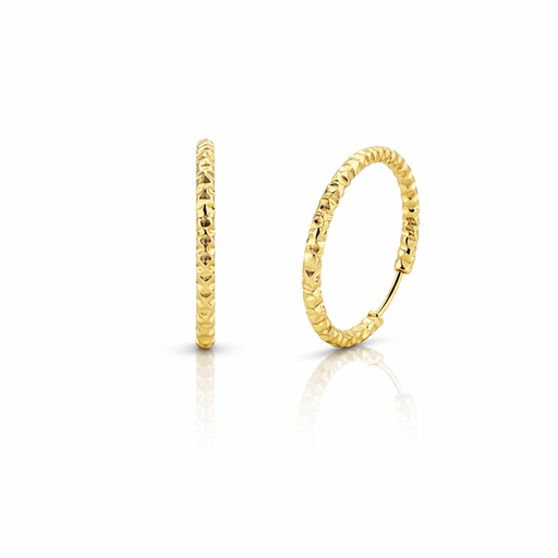 [2026-04-17-289.png] Women’s Earring