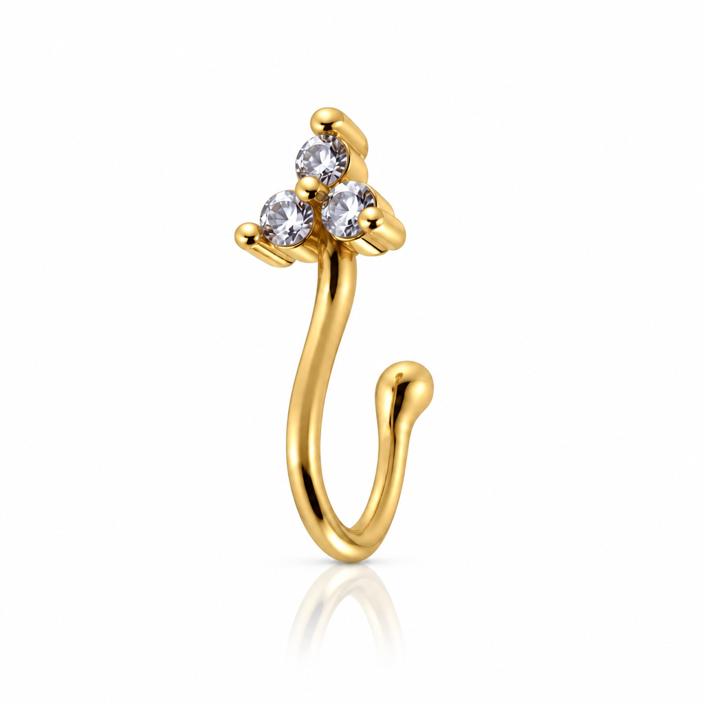 Women’s Nose Piercing