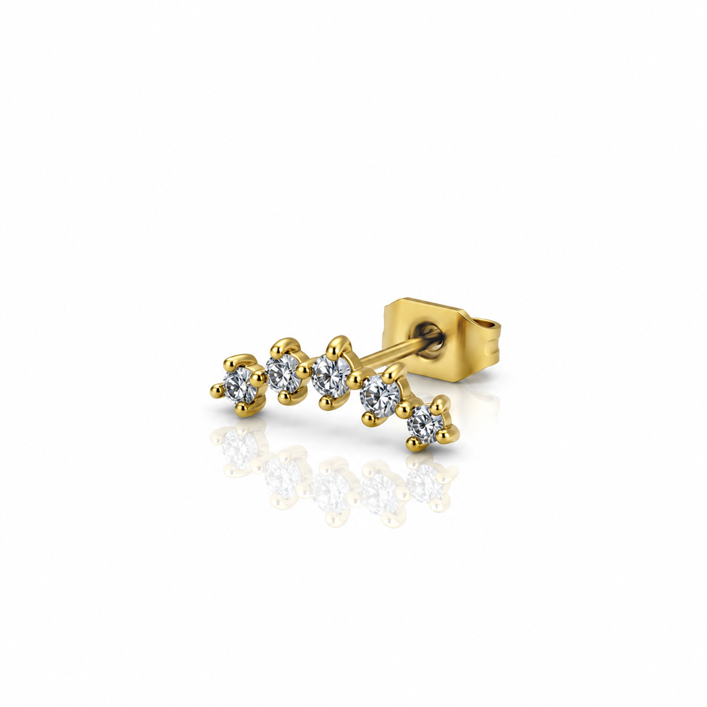 Women’s Ear Piercing