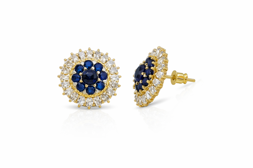 [2021-12-31-43.jpg] Women's Earring