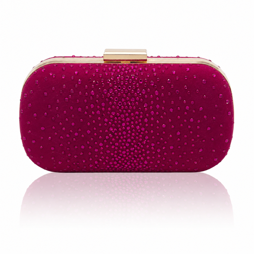 [2023-01-27-58b.jpg] Clutch Bag