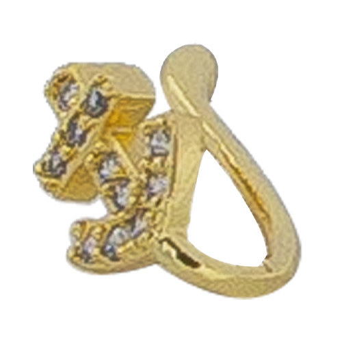 [2023-12-10-266.jpg] Women's Piercing