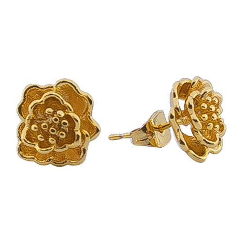 [2023-12-10-283.jpg] Women's Earring