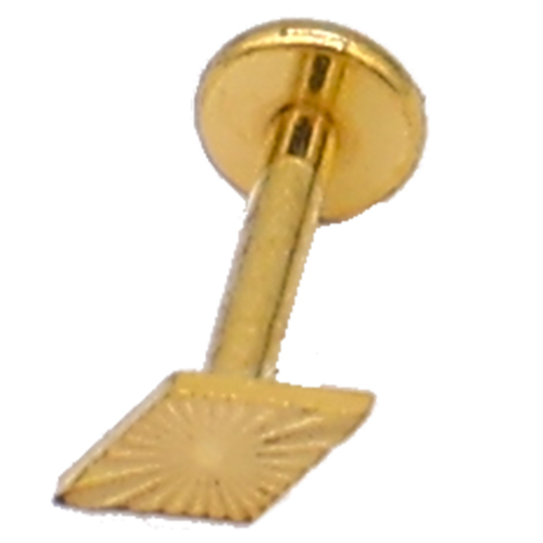 [2024-09-30-59.jpg] Women's Piercing