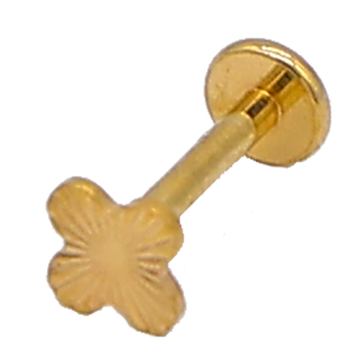 [2024-09-30-61.jpg] Women's Piercing