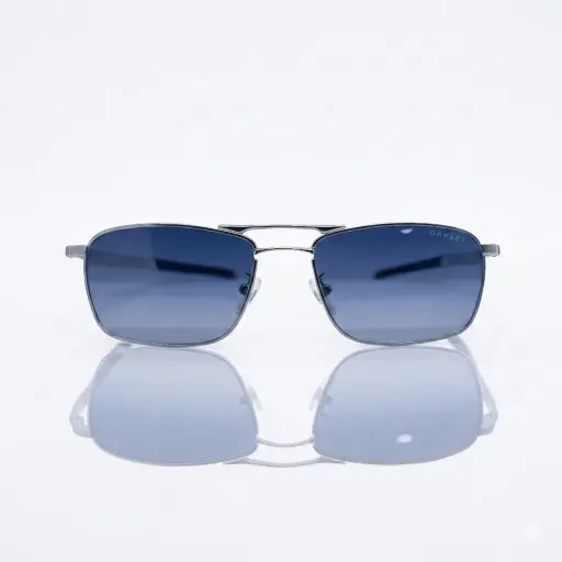 [2025-04-02-14.jpg] Men's Sunglass (P)