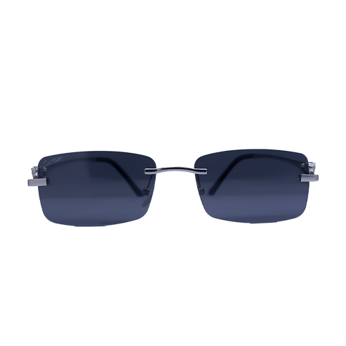 [2025-04-02-20.jpg] Men's Sunglass(P)