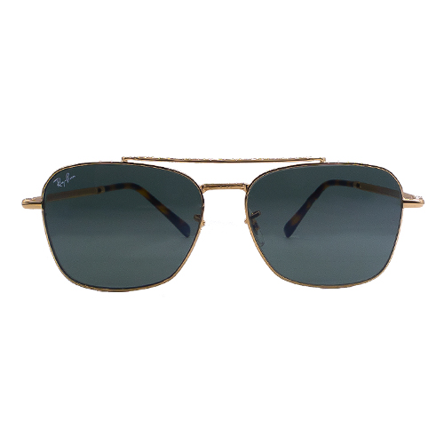 [2025-04-02-26.jpg] Men's Sunglass