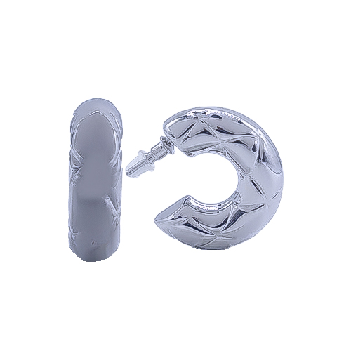 [2025-04-09-120.jpg] Women's Earrings