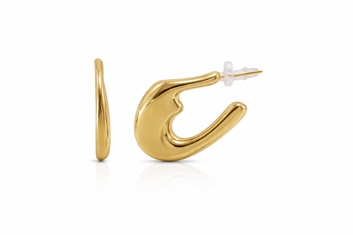 [2025-04-09-123.jpg] Women's Earring