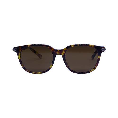 [2025-08-12-153.jpg] Men's Sunglass
