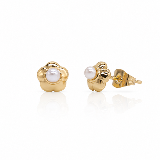 [2025-08-12-71.jpg] Women Stud Earring