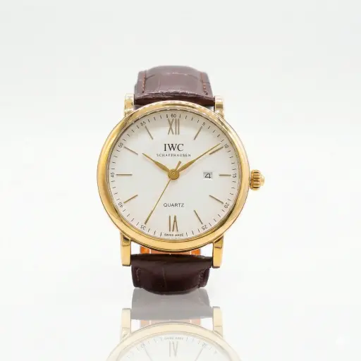 [2025-10-15-168.jpg] Men's Watch