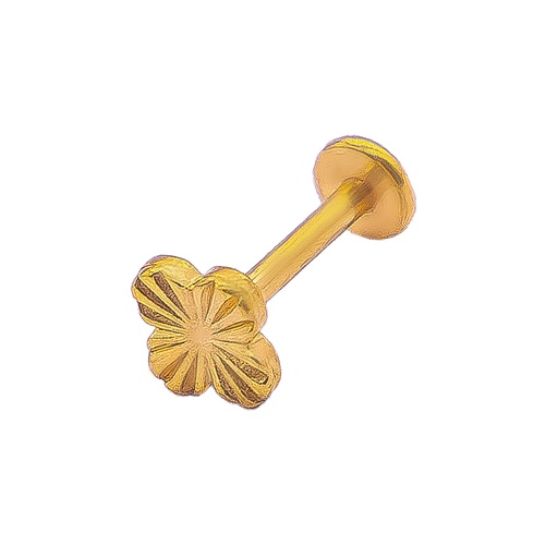 [2025-12-04-105.jpg] Women's Piercings