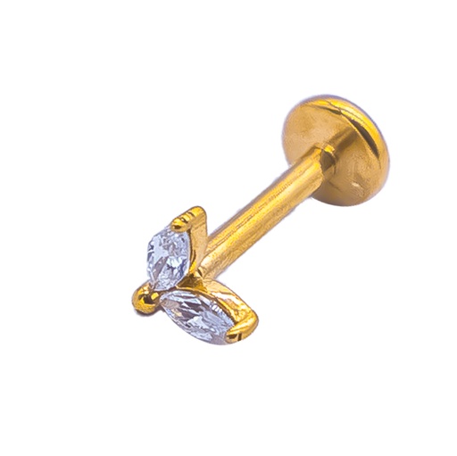 [2025-12-04-121.jpg] Women's Piercings