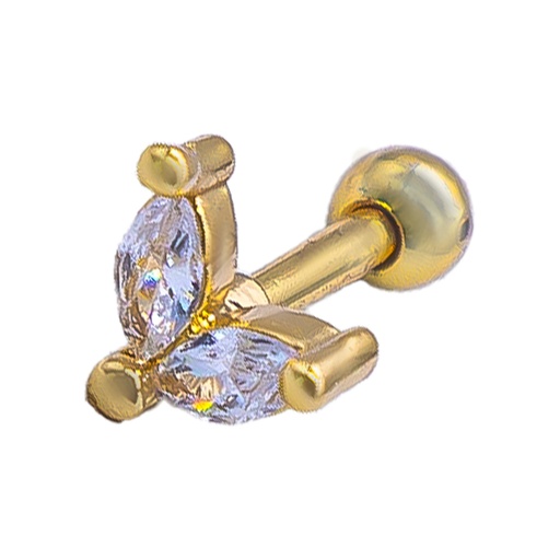 [2025-12-04-165.jpg] Women's Piercings