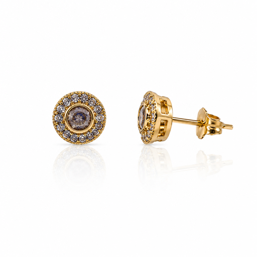 [2026-01-09-79.jpg] Women Stud Earring