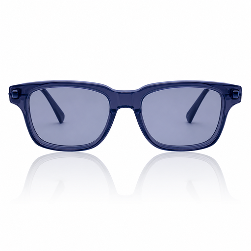 [2026-01-05-112.jpg] Men’s Sunglass