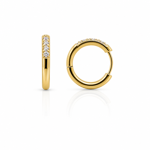 [2026-05-26-122.png] Women’s Ear Piercing (Thickness 1.6mm,Diameter 6)