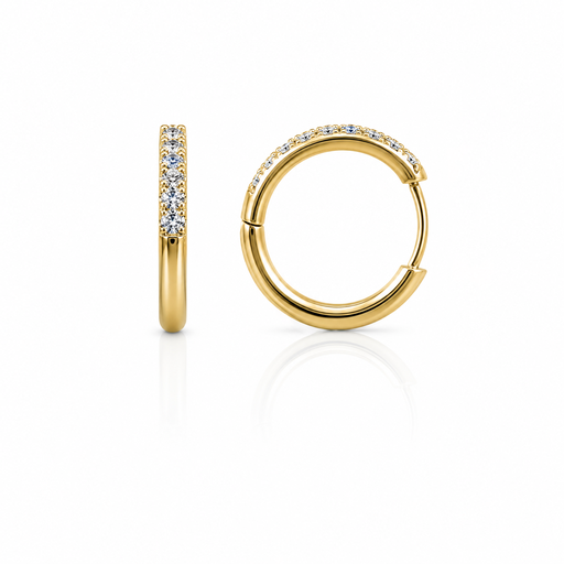 [2026-05-26-126.png] Women’s Ear Piercing (Thickness 2.5mm,Diameter 10)