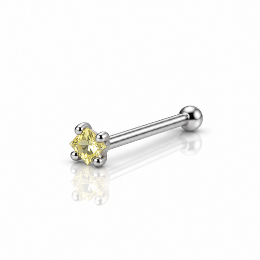 [2026-09-24-191 C.png] Women’s Nose Piercing