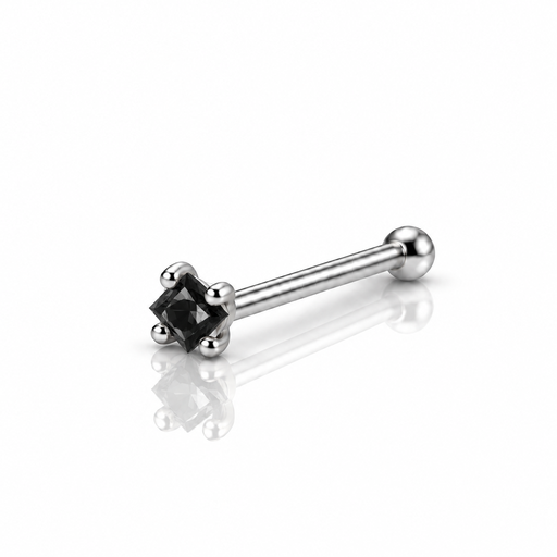 [2026-09-24-191 F.png] Women’s Nose Piercing