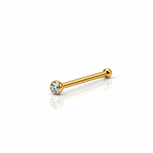 [2026-09-24-193.png] Women’s Nose Piercing