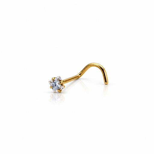 [2026-09-24-196.png] Women’s Nose Piercing