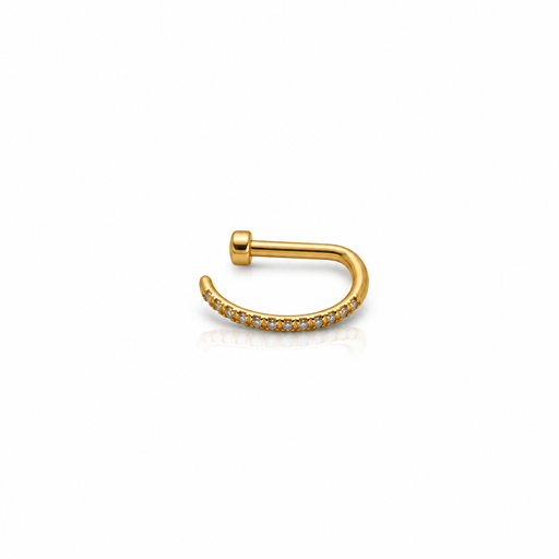 [2026-09-24-203.png] Women’s Nose Piercing