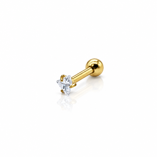 [2026-09-24-206.png] Women’s Ear Piercing