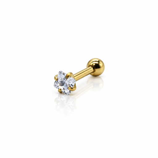 [2026-09-24-207.png] Women’s Ear Piercing