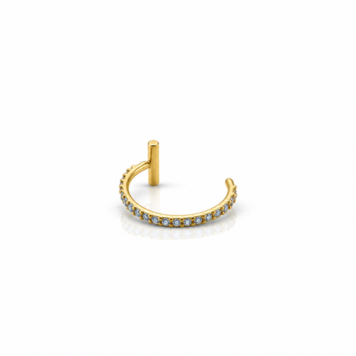 [2026-09-24-212.png] Women’s Nose Piercing
