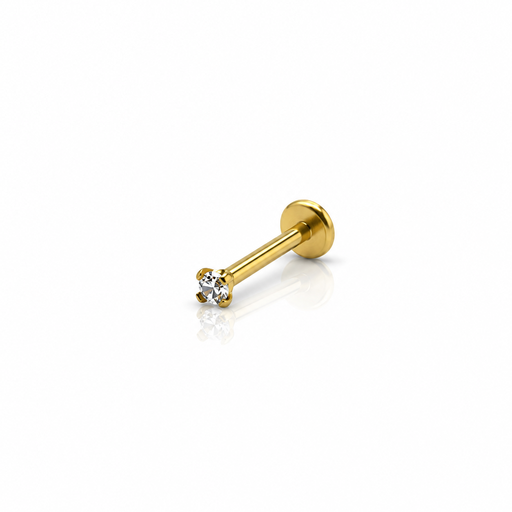 [2026-09-24-213.png] Women’s Ear Piercing