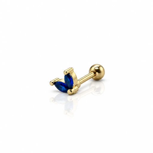 [2026-09-24-216.png] Women’s Ear Piercing