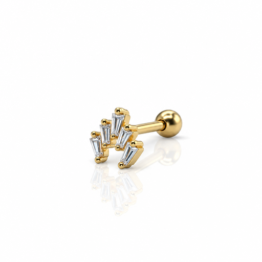 [2026-09-24-220.png] Women’s Ear Piercing