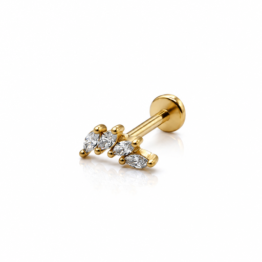 [2026-09-24-237.png] Women’s Ear Piercing
