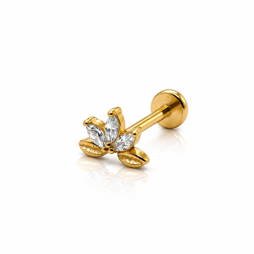 [2026-09-24-241.png] Women’s Ear Piercing