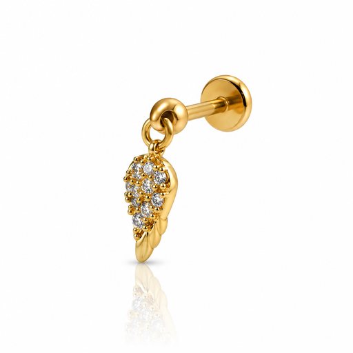 [2026-09-24-242.png] Women’s Ear Piercing