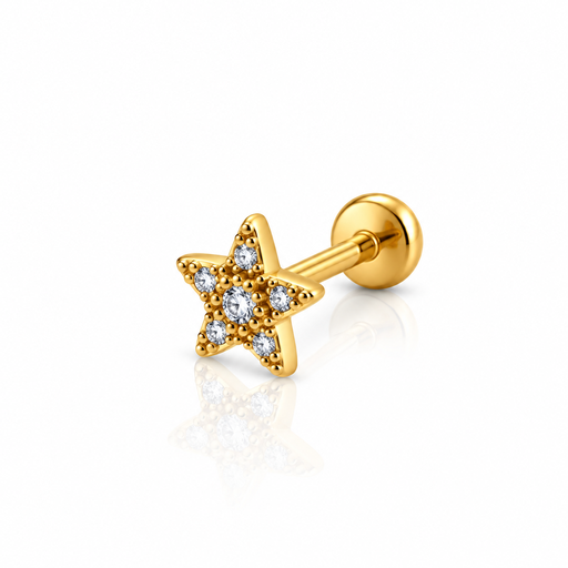 [2026-09-24-248.png] Women’s Ear Piercing