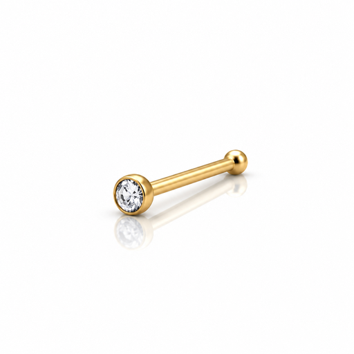 [2026-09-24-257.png] Women’s Nose Piercing