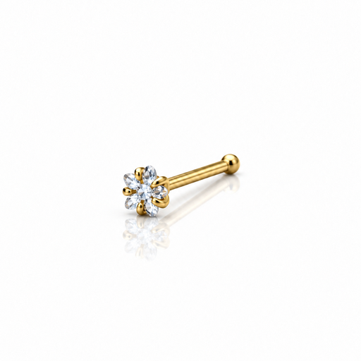 [2026-09-24-258.png] Women’s Nose Piercing