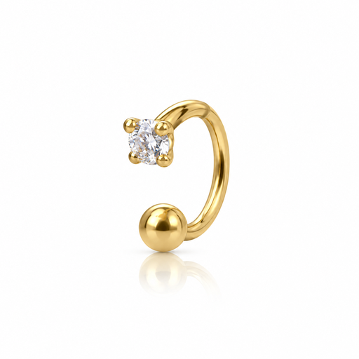[2026-09-24-265.png] Women’s Ear Piercing