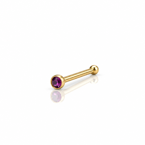 [2026-09-24-266 C.png] Women’s Nose Piercing