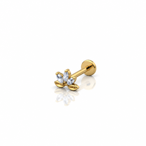 [2026-09-24-269.png] Women’s Ear Piercing
