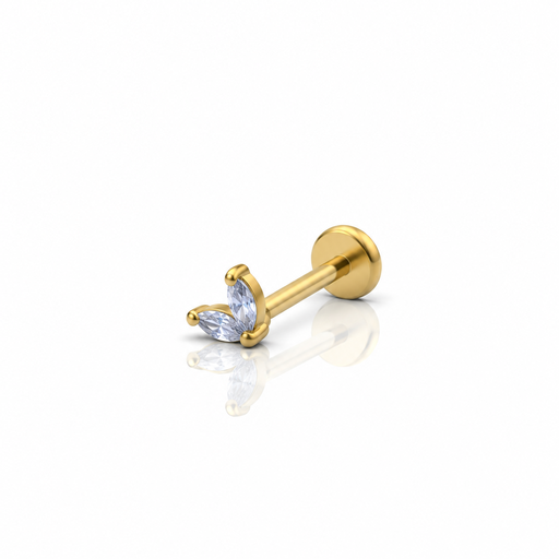 [2026-09-24-277.png] Women’s Ear Piercing