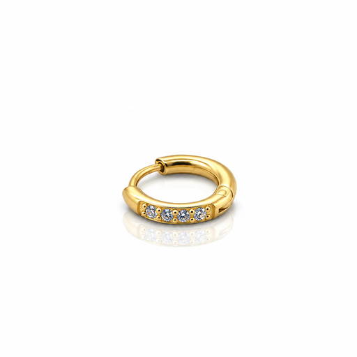 [2026-09-24-282.png] Women’s Ear Piercing