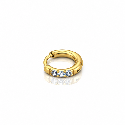 [2026-09-24-283.png] Women’s Ear Piercing