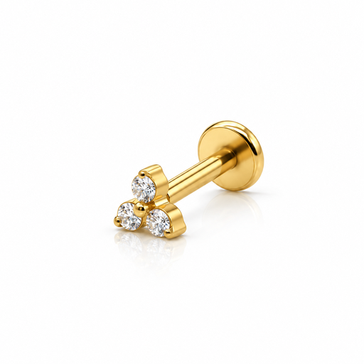 [2026-09-24-292.png] Women’s Ear Piercing