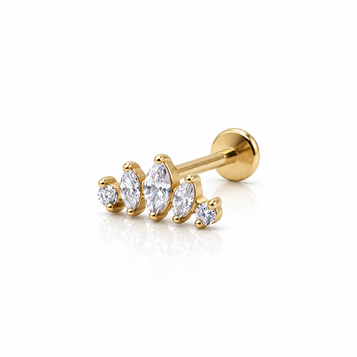 [2026-09-24-293.png] Women’s Ear Piercing